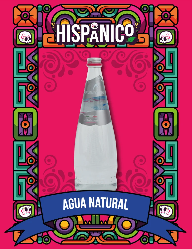 Agua Natural San Benedetto 500ml